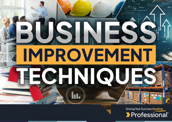 Business Improvement Techniques