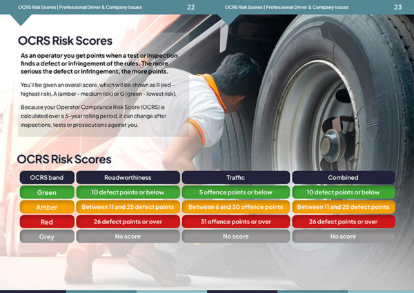 Professional Driver and Company Issues - Image 5