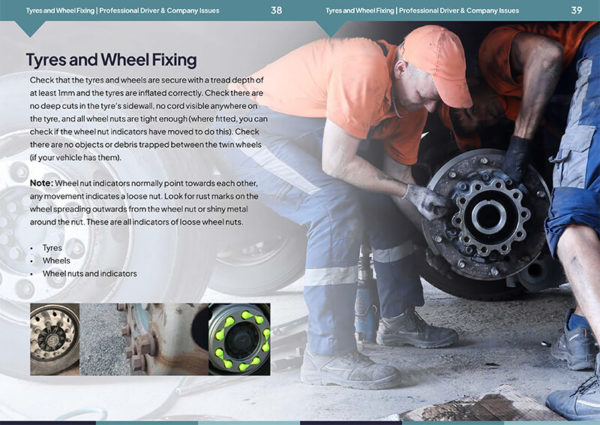 Professional Driver and Company Issues - Image 3