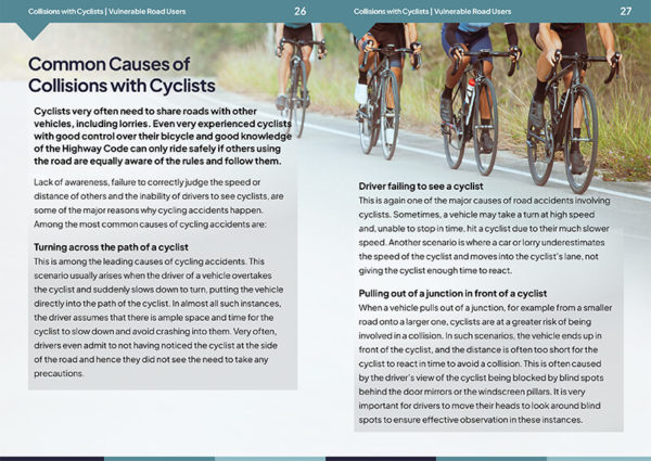 Vulnerable Road Users - Image 4